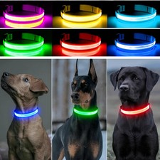 LED Dog Pet Collar USB