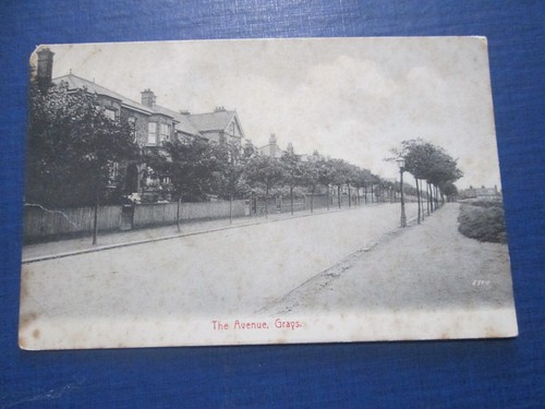Postcard the avenue - -,