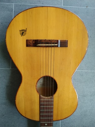 Vintage framus acoustic - framus,