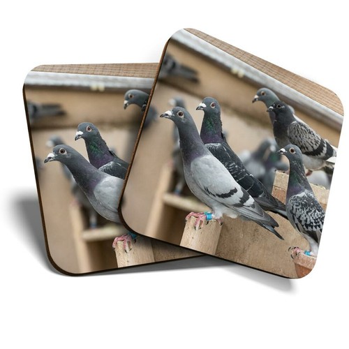 Coasters pigeon hole - 2,