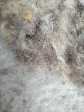 Garden Bird Nesting Material Pure Sheep Wool Ideal For Wild Birds Natural Clean