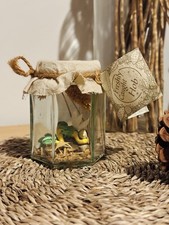 The Friend Catchers Freshly