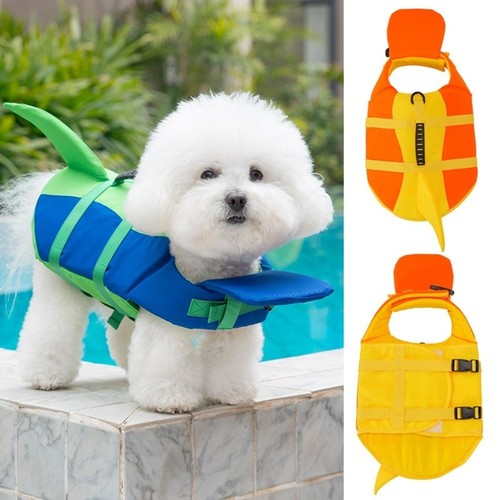 Dog life jacket safety - dog,