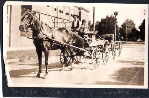 Vintage photograph man dog - vintage,