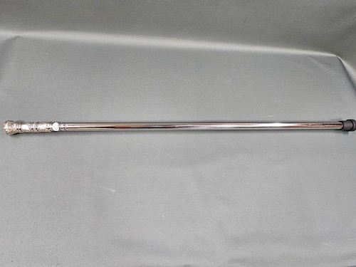 Stainless steel walking stick - stainless,