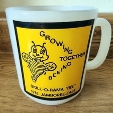 Boy Scouts Skill-O-Rama Bee