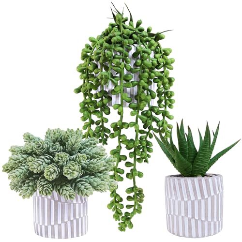 Pack small faux succulent - ,