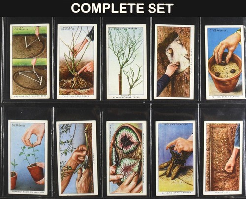 Garden hints wills cigarette - wills,