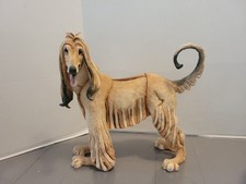 A Breed Apart Afgan Hound Dog