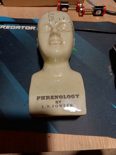 Phrenology head fowler - l.n.,