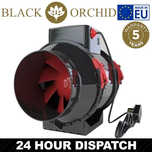 8 black orchid - 4", 8"