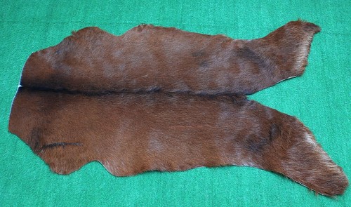 Genuine goat hide hair - goat, on