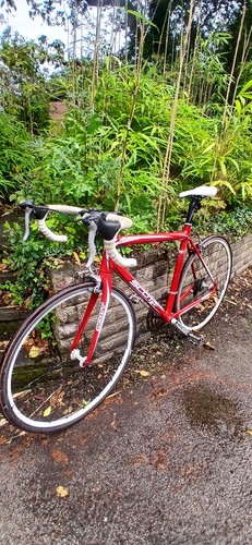 Scott s50 speedster cherry - scott,