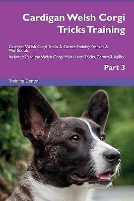 Cardigan welsh corgi tricks - corgi,