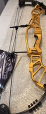 Hoyt invicta gold - invicta, 37