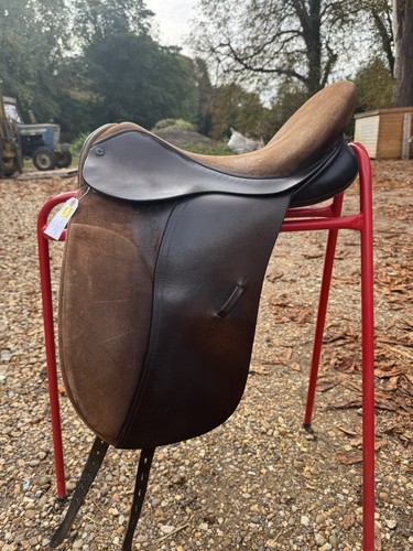 Black country dressage - country,