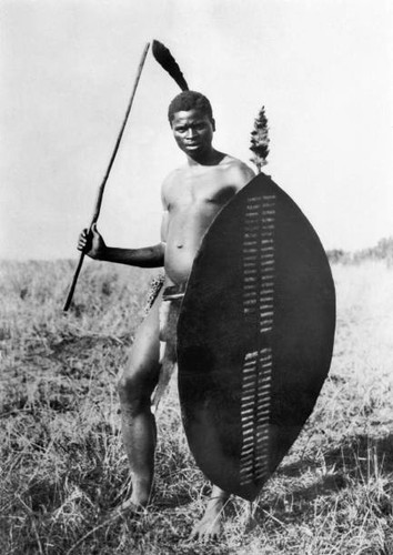 Young zulu warrior - young,