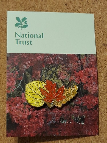 National trust winkworth - trust,