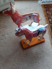 Acupuncture Horse And Dog Models