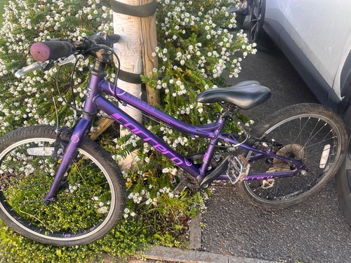 Carrera purple jnr saruna - carrera,