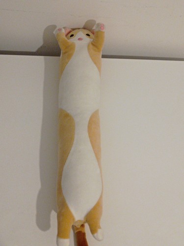 Long cute cat plush - cat, pillow