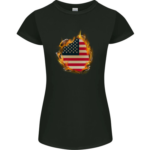 The stars stripes american - the,
