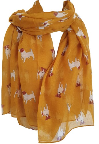 Glamlondon jack russell - jack,