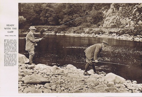 Salmon fishing ready with - fishing, the