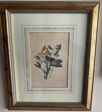 6 Pierre Joseph Redoute