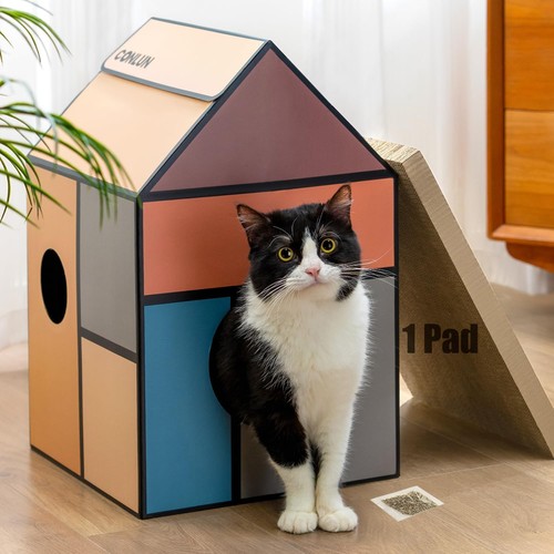 Conlun cardboard cat - conlun, house
