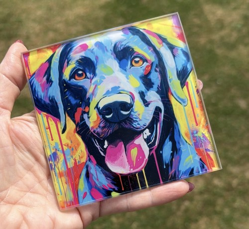 Labrador colour - 🐾🎨,