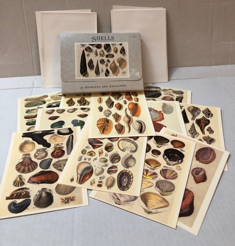 Set shells greetings - set, 12