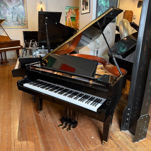 Kawai japanese baby grand - baby,