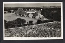 Postcard Paddock Wood Kent aerial view Whitbread brewery Hop Gardens RP