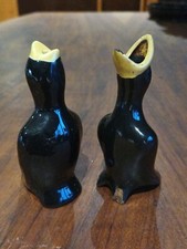 Non Matching Pair Of Blackbird