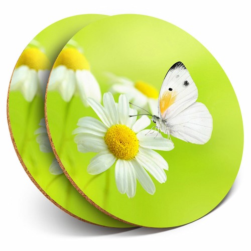 Coasters white butterfly - coasters,