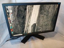 EIZO FLEXSCAN S2243W 22 INCH