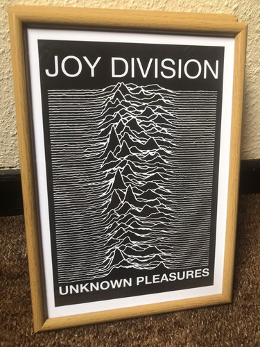 Unknown pleasures joy - pleasures',