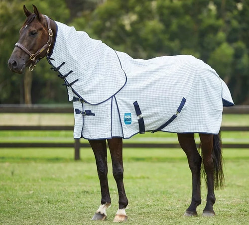 Weatherbeeta kool coat - weatherbeeta,