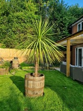 3/4 GENUINE OAK HALF WHISKY BARREL WOODEN GARDEN PLANTER  -IDEAL FOR SMALL TREES