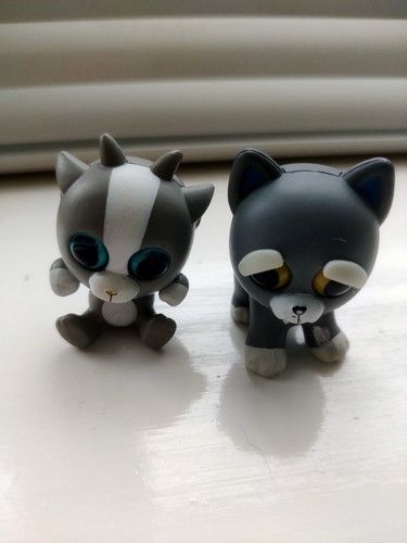 Fiesty pets mini misfits