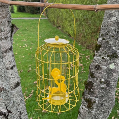 Hanging squirrel proof - proof, seed
