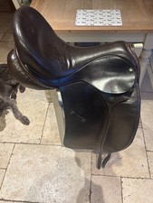 Ideal Jessica Brown Dressage