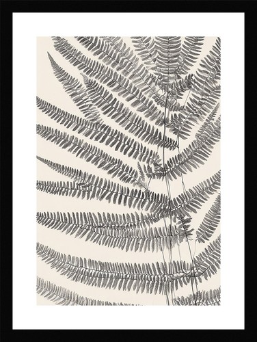 Exquisite fern fronds print - exquisite,