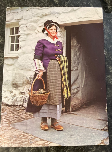 Used postcard welsh national - used,