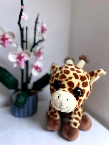Giraffe plush very good - |,