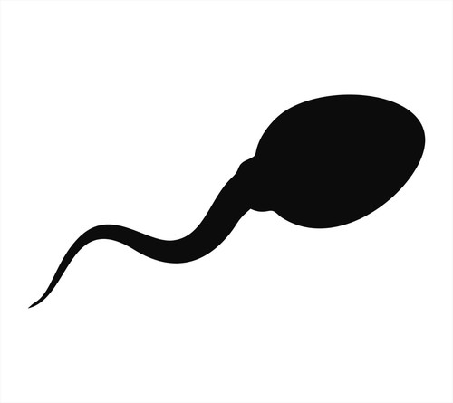 Sperm biology vinyl - sperm,