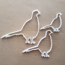 Pheasant Bird Gold Silver