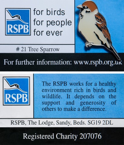 Rspb pin badge - rspb, fbfpfe