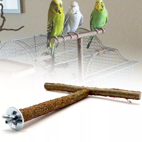 2pc wood parrot bird - bird, stand